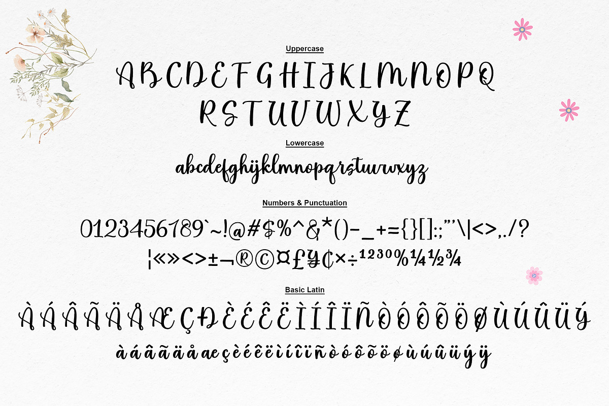 Hello Spring Script Font, a Script Font by moriztype (Photo 8 of 10)