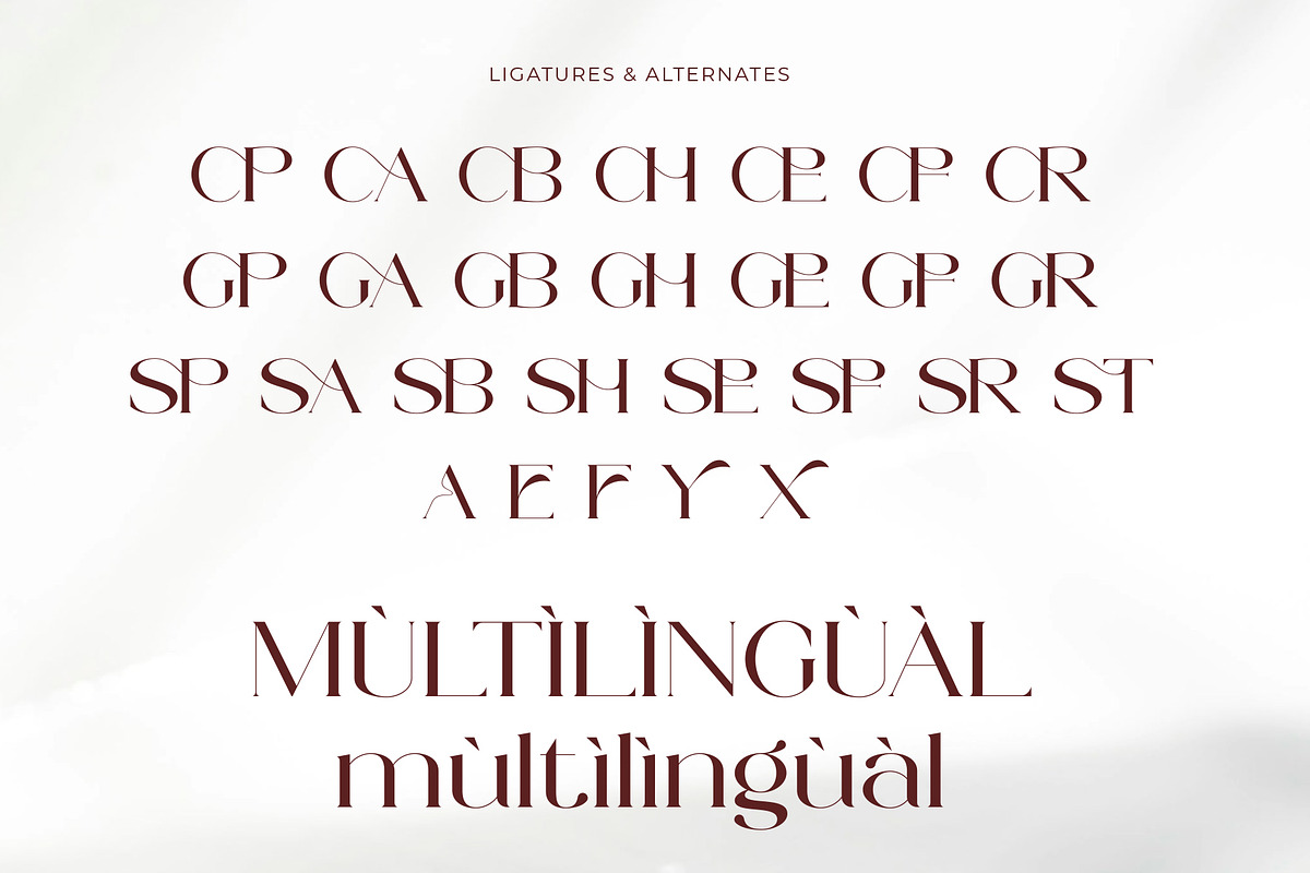 Searly - Staylish And Elegant, a Serif Font by Muflieart (Photo 10 of 10)