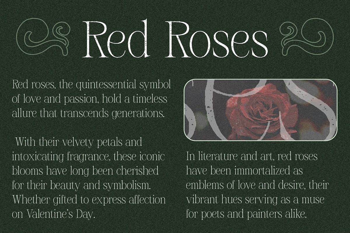 Risley Vintage, a Serif Font by Craft Supply Co. (Photo 4 of 8)
