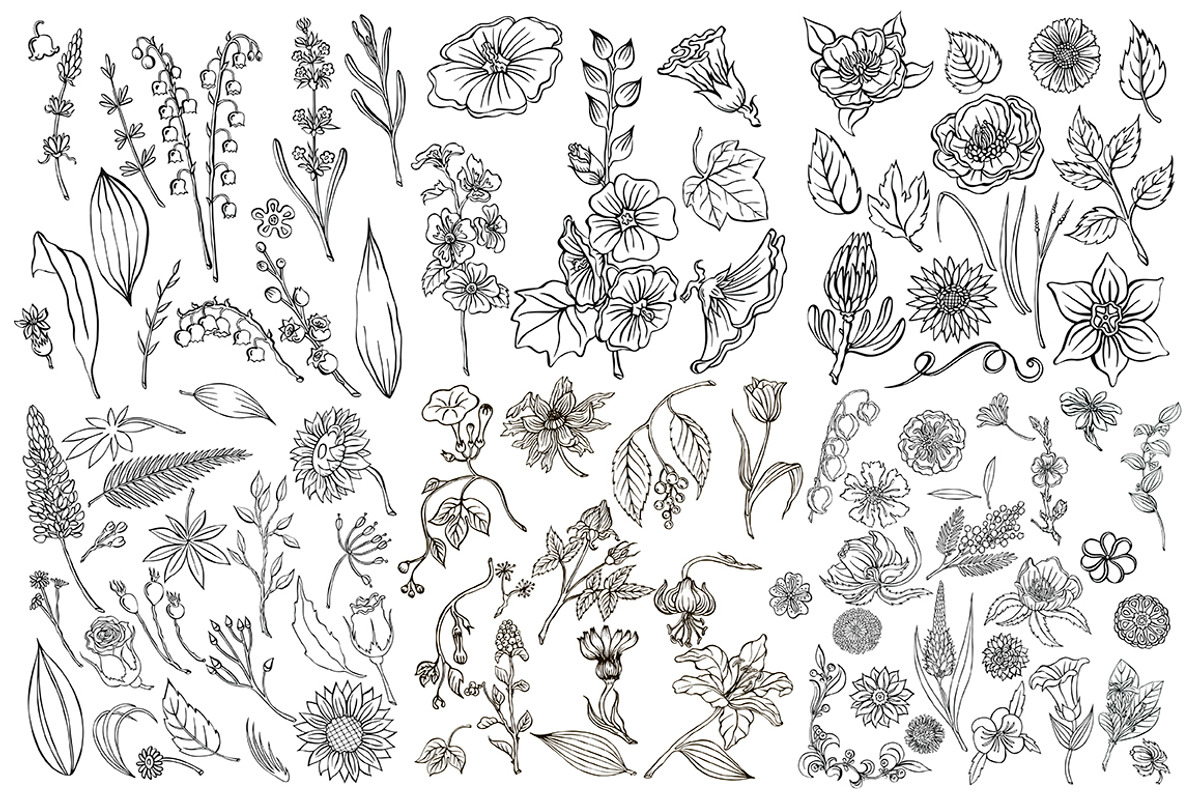 Vector plants and flowers, an Illustration by risovanya (Photo 2 of 5)