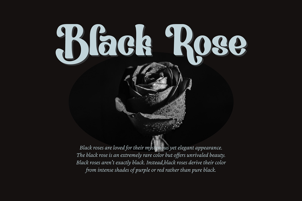 Brohemyan - Modern Vintage Serif, a Serif Font by Krakenbox Studio (Photo 6 of 16)