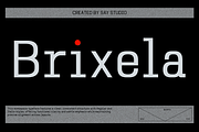 Brixela - Modern Monospace Sans, a Sans Serif Font by Say Studio (Thumbnail 1 of 13)