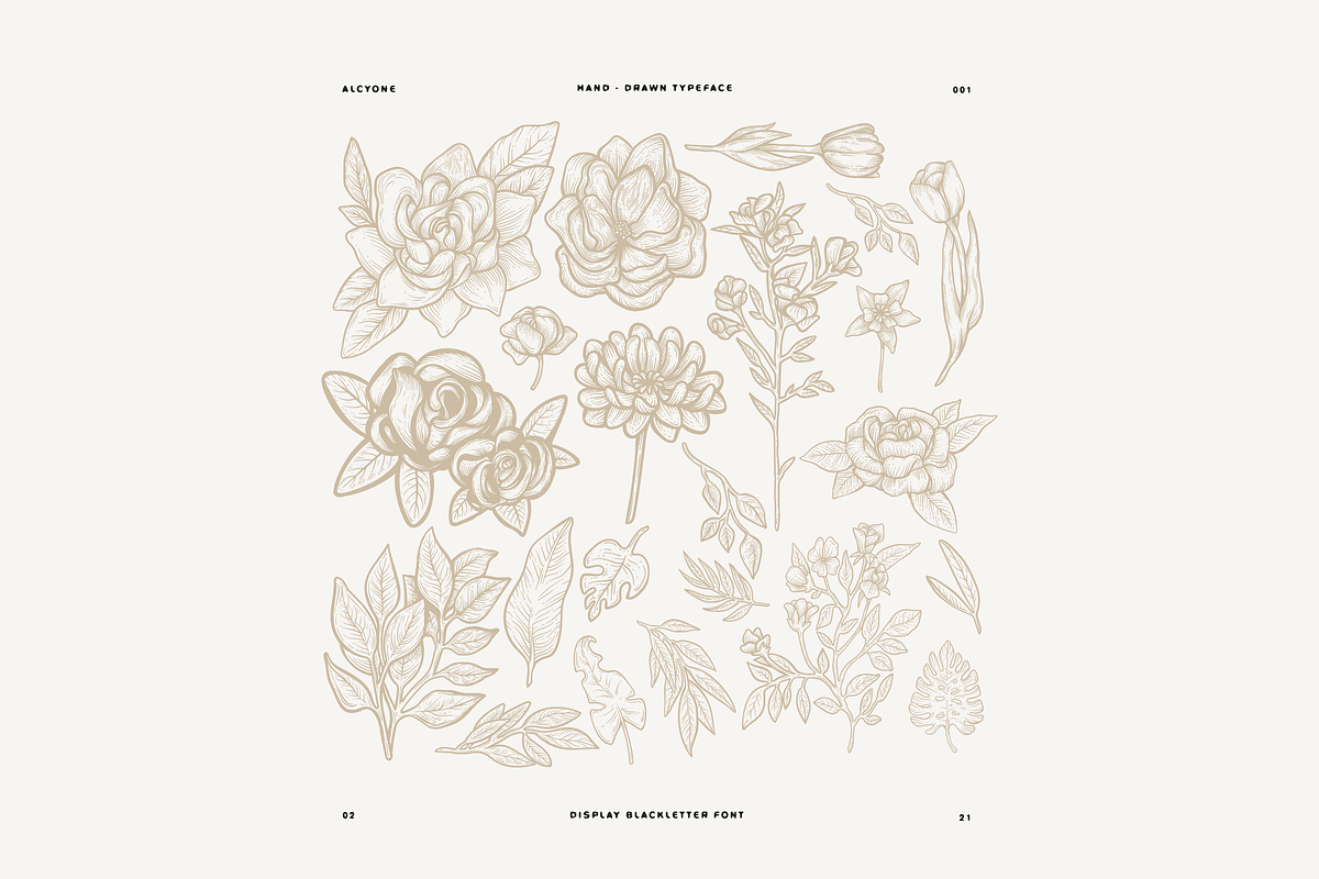 Alcyone Display Font + Illustrations, a Blackletter Font by GRPXSTORE (Photo 3 of 4)