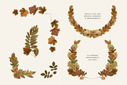 Autumn Leaves Clipart - 59 Images, an Object Illustration by Century Library (Thumbnail 3 of 10)