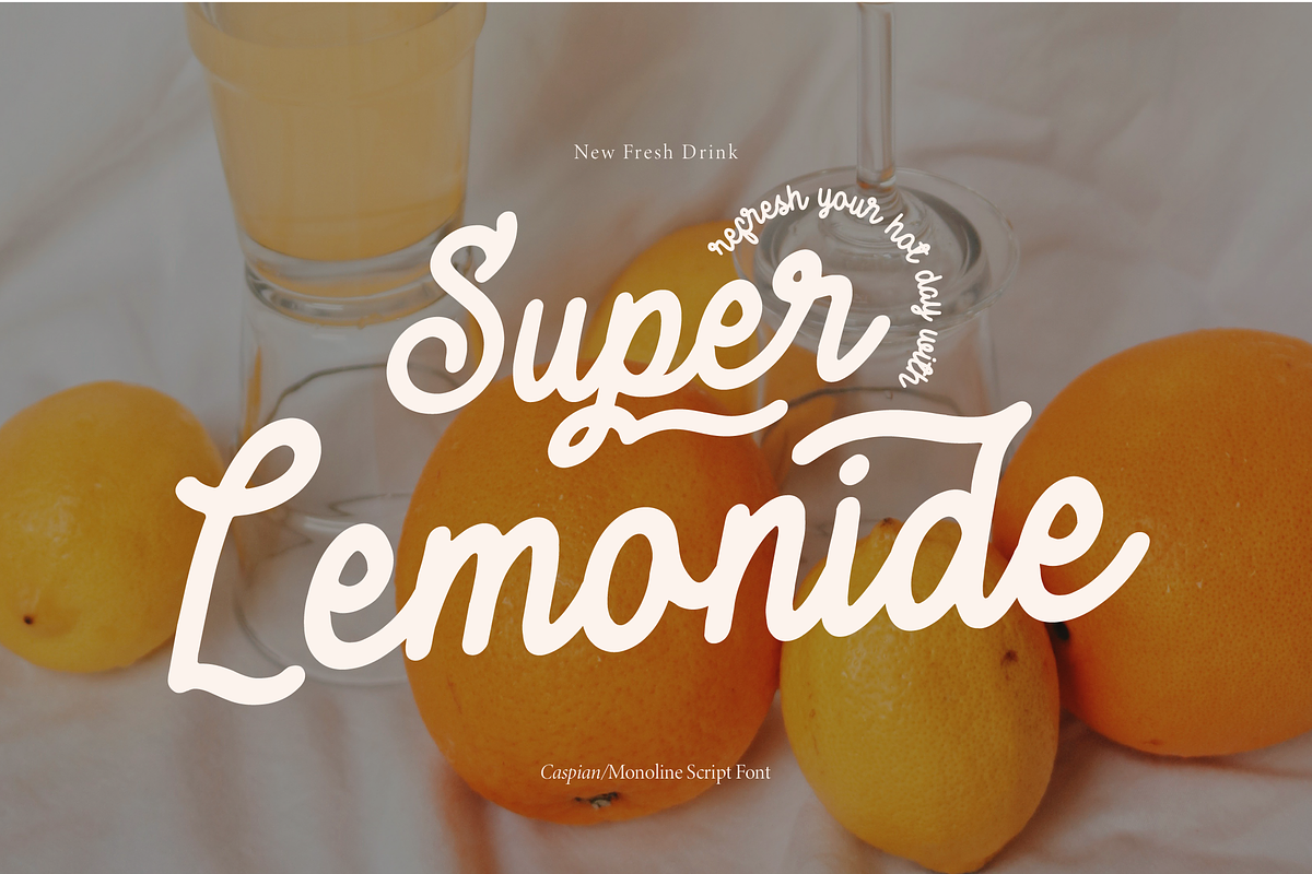 Caspian | Monoline Script, a Script Font by Denustudios (Photo 5 of 15)