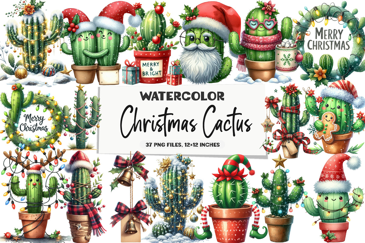 Christmas Cactus P2 Clipart, an Illustration by DreamArtGraphic (Photo 1 of 5)