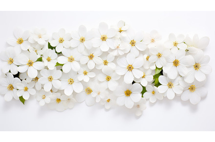 background white lay flower top view, a Nature Photo by pikepicture