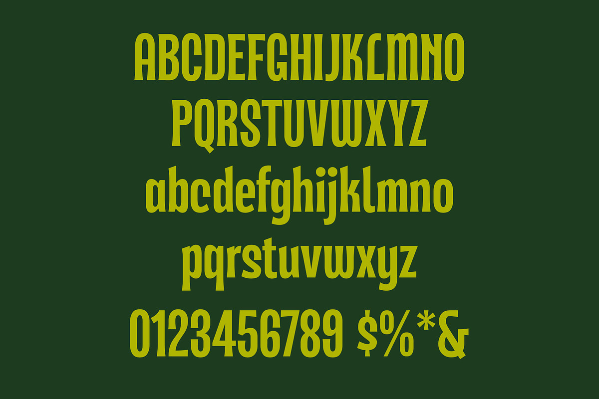 ED Lamount, a Serif Font by Emyself Design (Photo 3 of 10)