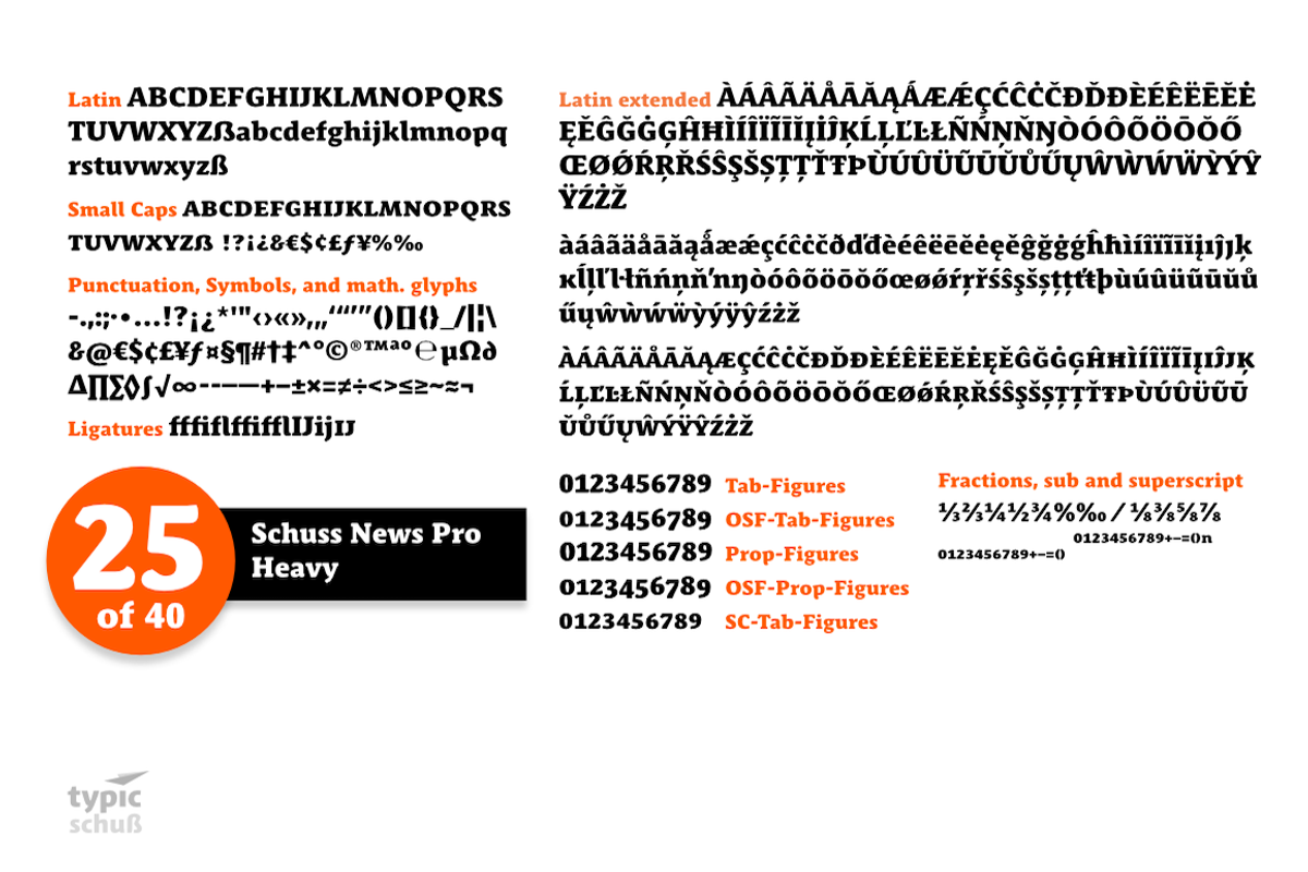 SchussNewsProHeavy No.25 (1 Font) preview 3