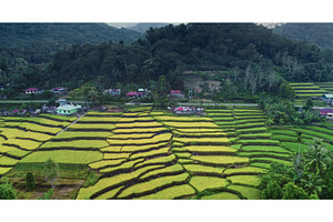 Rice terraces creating stunning, a Nature Photo by Goinyk