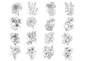 Floral Flower Set 12 Procreate Brush