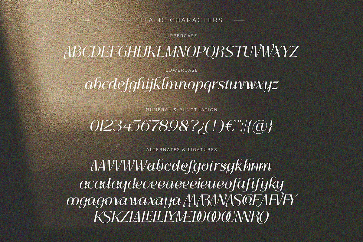Insta Avant | Ligature Elegant Serif, a Serif Font by ClevUs (Photo 11 of 12)