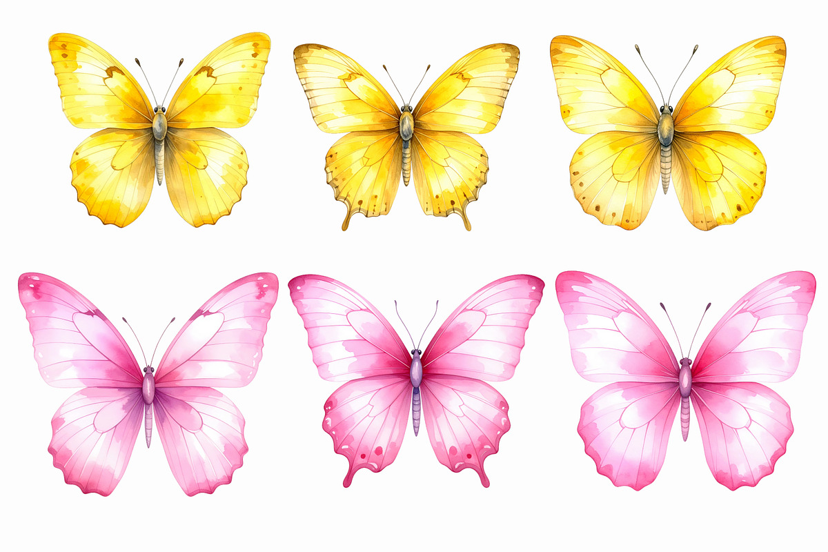 31 Watercolor Butterfly PNG Clipart, an Illustration by Print Haven (Photo 4 of 6)