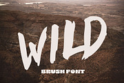 Brush Font. WILD Hand drawn Typeface, a Font by Mark Skitsky (Thumbnail 1 of 6)