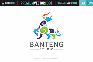Bull Studio Logo