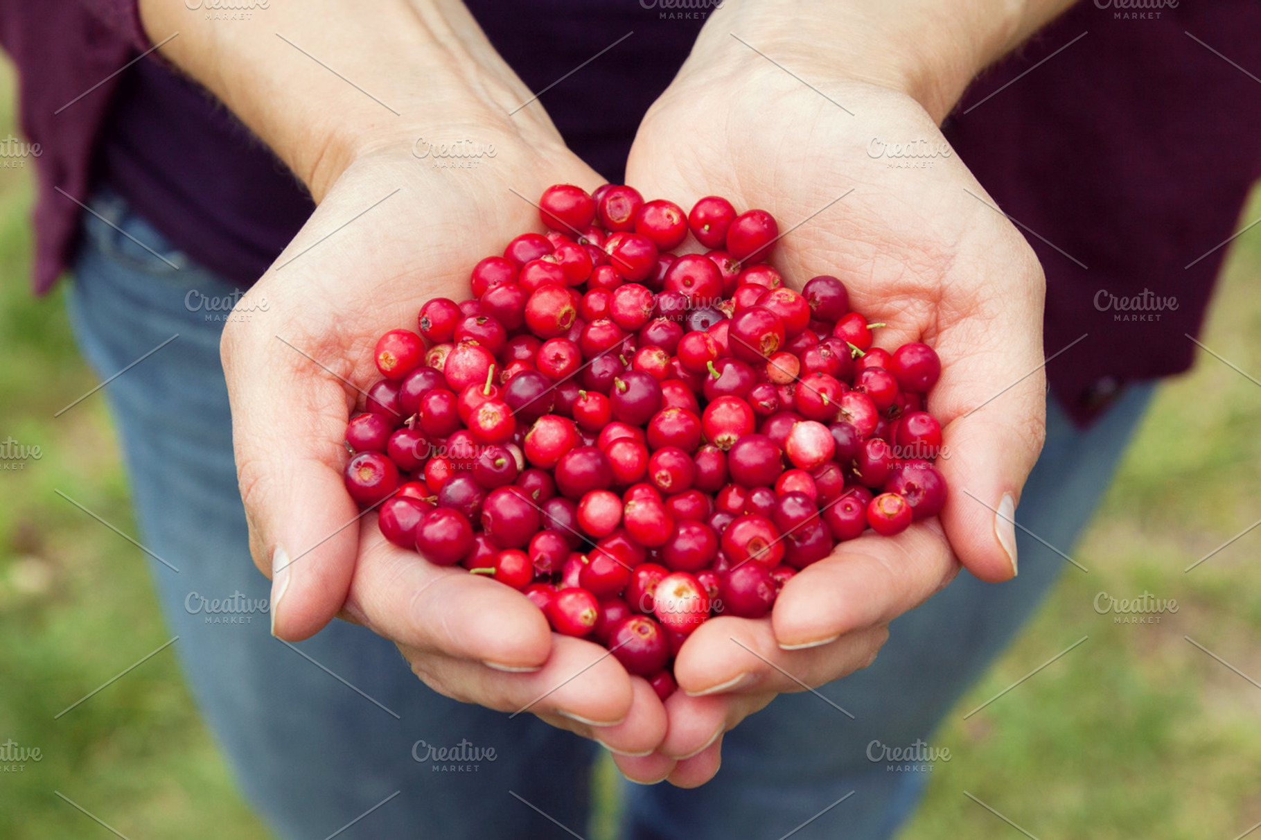 Woman hands full of berries, a Food & Drink Photo by BOOCYS