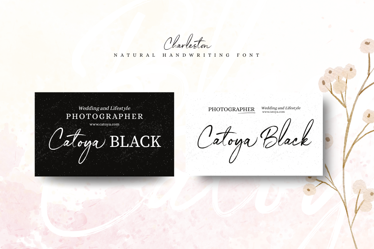 Charleston Handwriting Font, a Script Font by Silverdav (Photo 9 of 15)