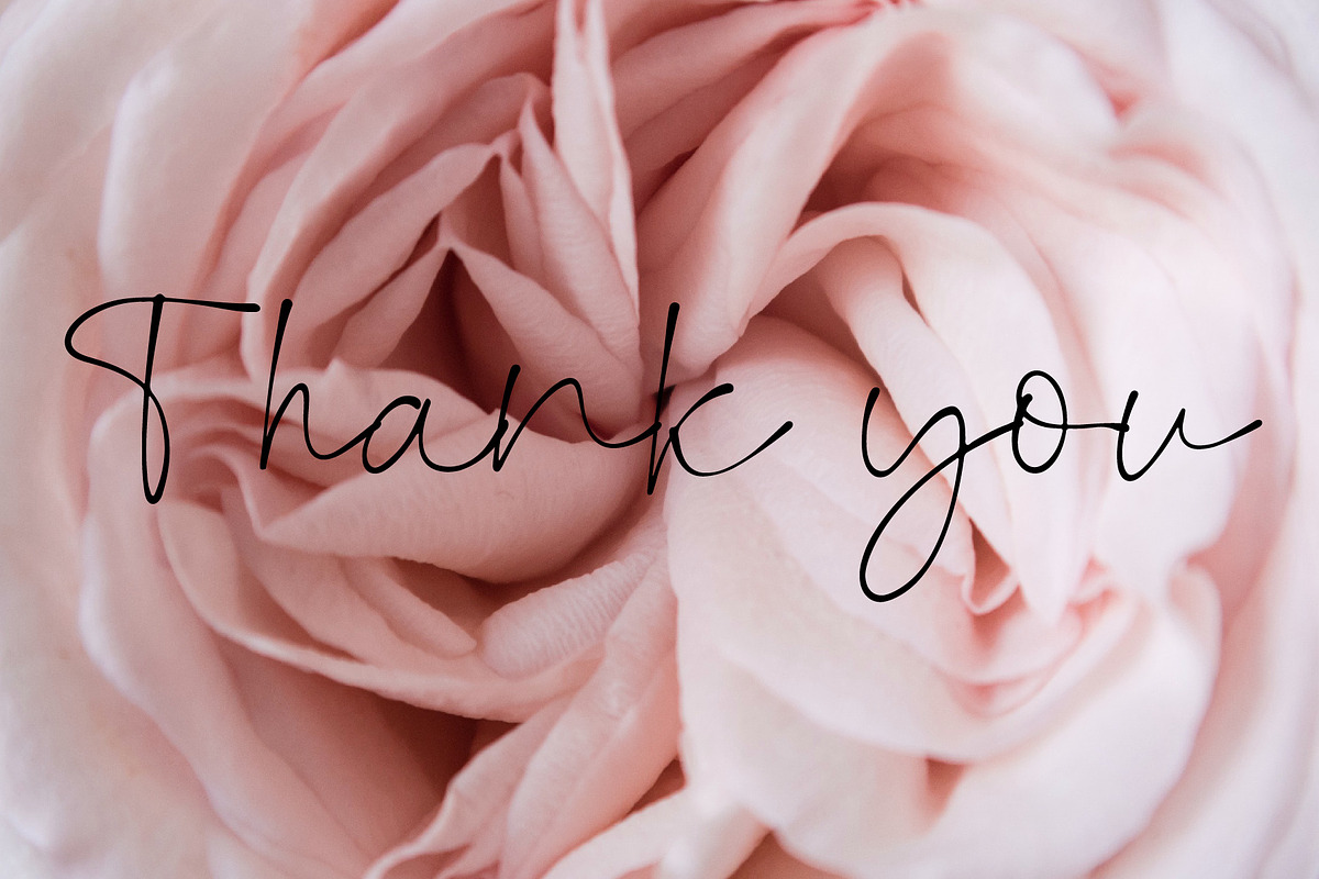 Montok, a Script Font by WisnoetypeCo (Photo 5 of 5)