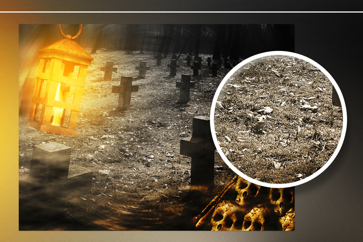 Halloween Backgrounds Set, a Texture Graphic by Backgrounds Store (Photo 4 of 4)