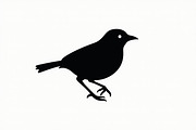 Bird Silhouette design bundle, an Illustration by hafijul (Thumbnail 4 of 13)