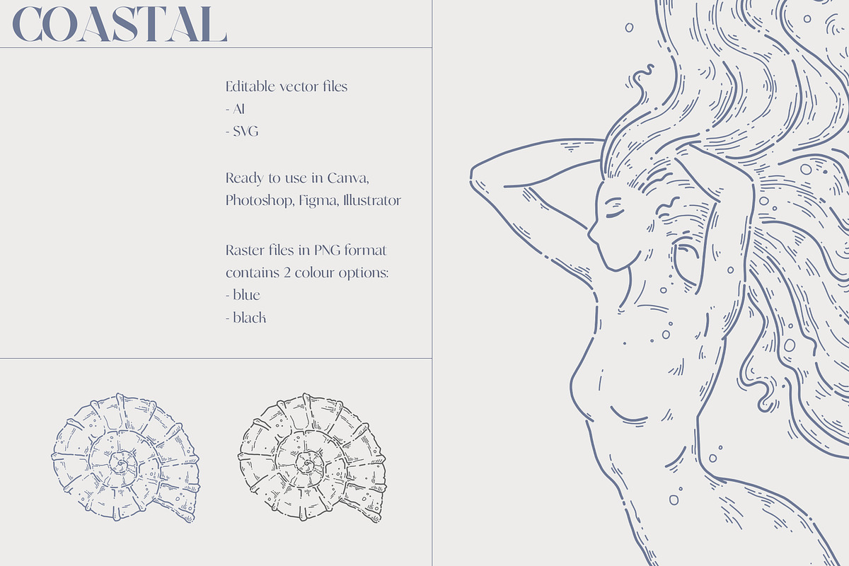 Coastal Line art collection, an Object Graphic by Kreker Kate (Photo 4 of 5)