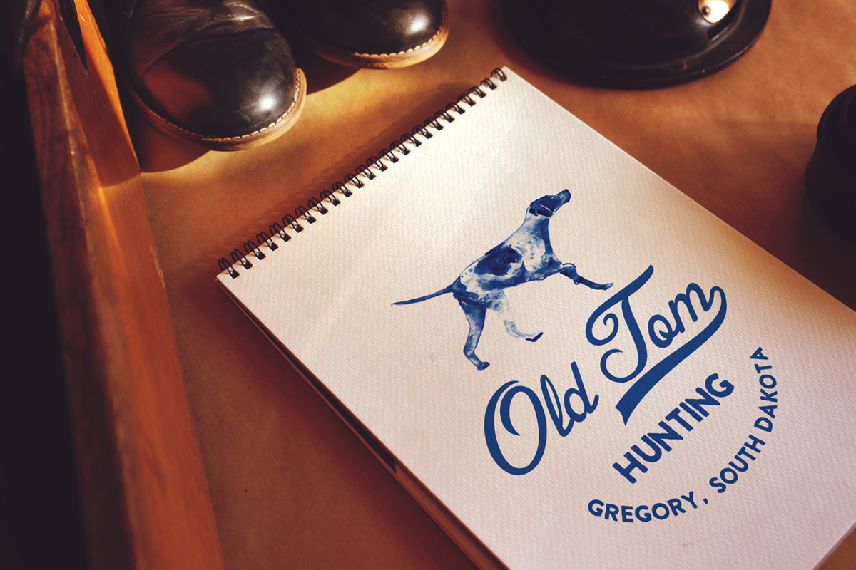 12 Handpainted Logos, a Branding & Logo Template by Liviu (Photo 4 of 5)
