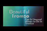 Tulip Algarve Font Family, a Sans Serif Font by Ryul Davidson (Thumbnail 13 of 15)