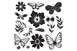 Black And White Butterflies And