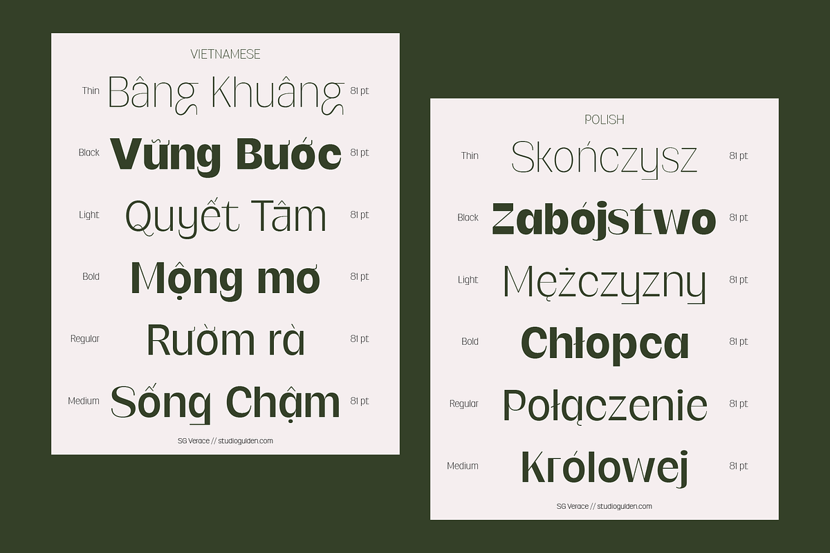 SG Verace Display Font, a Sans Serif Font by Studio Gulden (Photo 13 of 15)