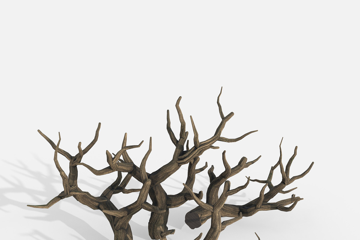 Aquarium Snag Banches V2, an Environmental 3D Model by AndrewWhite (Photo 2 of 8)