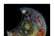 Soma Co. Biomorphic Solargrams, an Education Illustration by milatovar (Thumbnail 14 of 19)