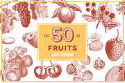 Vintage Illustrations - Free Update, an Animal Illustration by hypegraphic (Thumbnail 11 of 12)