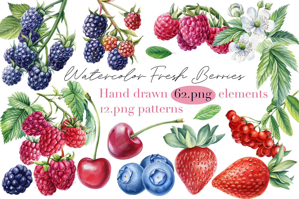 Watercolor Fresh Berries, a Decorative Illustration by Hanna Hryharenka (Photo 1 of 16)