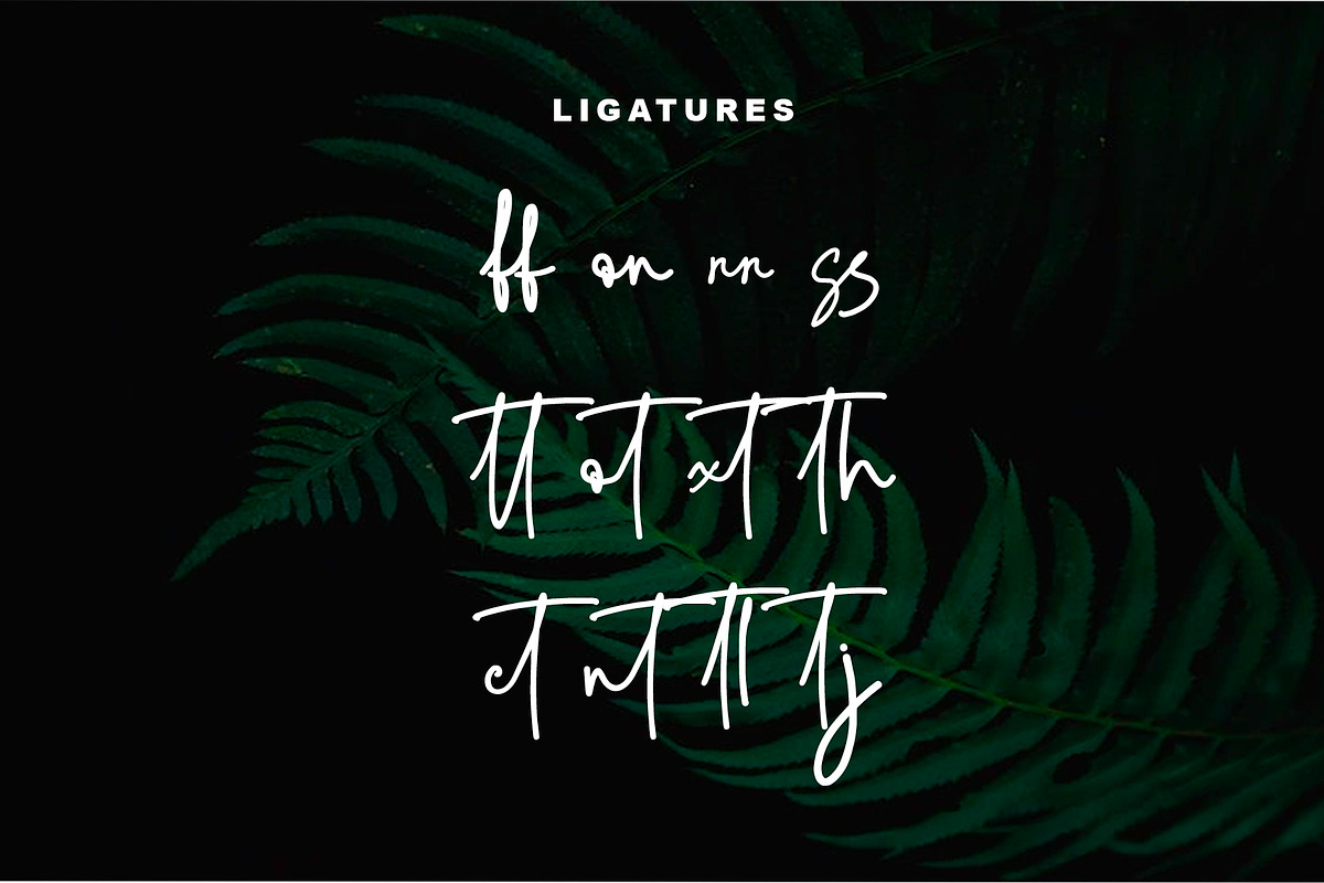 Brainy Signature Font, a Script Font by Yuby Creative (Photo 6 of 7)