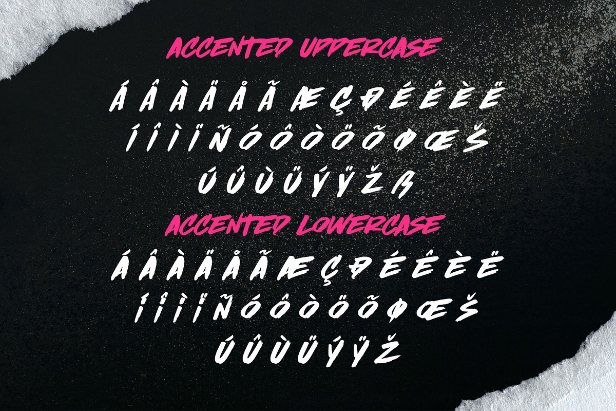 Brushlinerz - Expressive Brush Font, a Handwritten Font by Variatype (Photo 8 of 8)