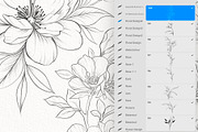 Procreate flower stamp, peony brush, a Brush Add-On by AnnaPolitmerskaja (Thumbnail 2 of 5)