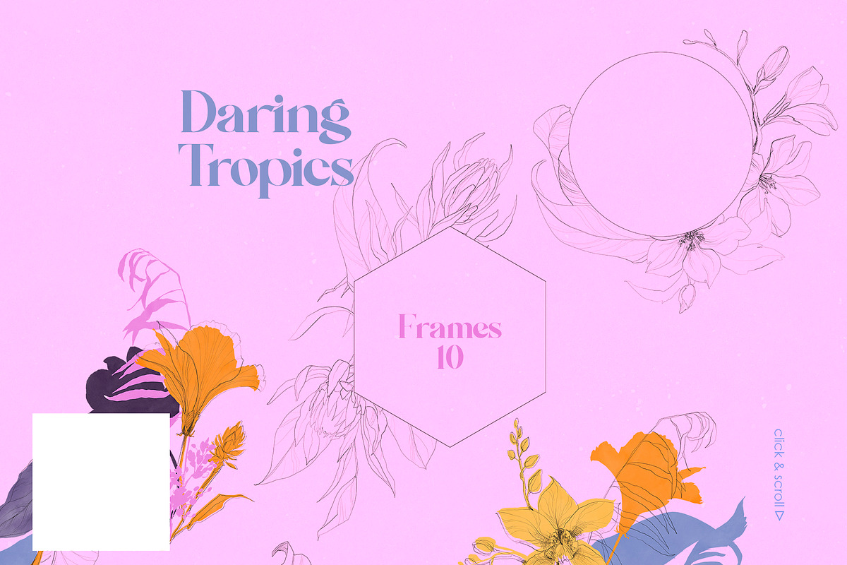 Daring Tropics. Summer Collection, an Object Illustration by Colden Blue (Photo 5 of 12)