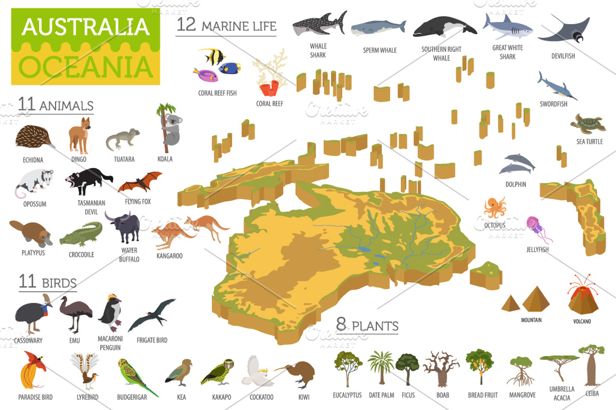 Australasia isometry flora&fauna map, an Animal Illustration by pet design shop (Photo 2 of 5)