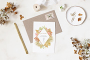 Tropical dried leaves set, an Illustration by svetodesign (Thumbnail 9 of 16)