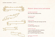 Adorn Collection, a Sans Serif Font by Laura Worthington (Thumbnail 50 of 62)
