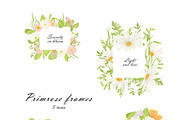 Primrose Watercolor Collection, a Decorative Illustration by Sunshine Art (Thumbnail 6 of 8)