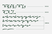 Anteng Jatisari - Script Font, a Handwritten Font by GFRcreative (Thumbnail 8 of 9)