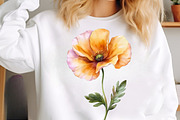 Watercolor Summer Wildflowers Png, an Illustration by SinaCreation (Thumbnail 4 of 9)