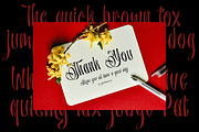 Cenolle - Modern Brush Font, a Handwritten Font by TypeClassHeroes (Thumbnail 10 of 10)