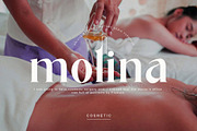 galink Modern Ligature Serif, a Serif Font by Humaira_std (Thumbnail 5 of 10)