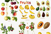 Fruit Vintage illustrations, 86 PNG, a Food Illustration by Natalka Dmitrova art (Thumbnail 4 of 4)