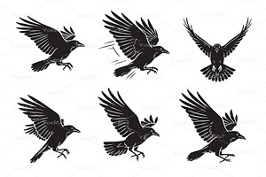 Set of crows or ravens in flight., an Animal Illustration by yod67