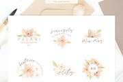 Watercolour Flowers and Patterns, a Decorative Illustration by eclosque (Thumbnail 3 of 8)