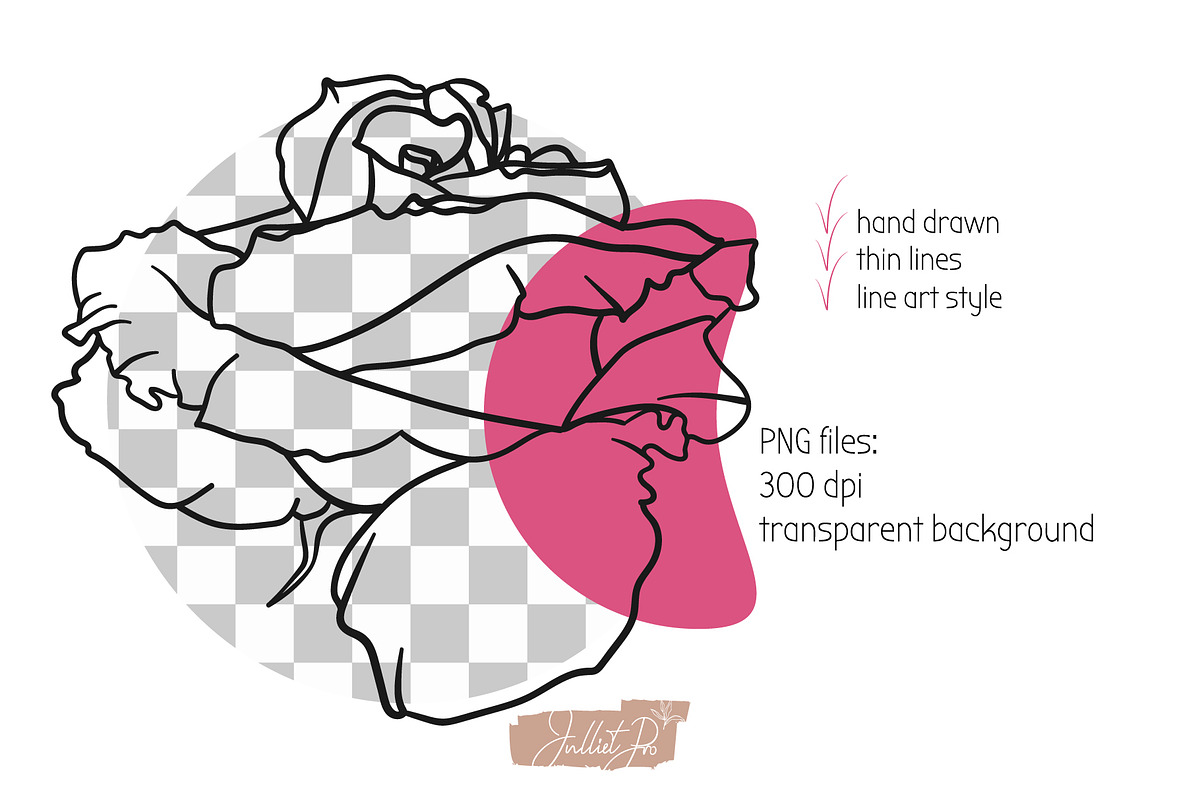 Rose Blossom, a Decorative Illustration by JuDesign (Photo 5 of 21)