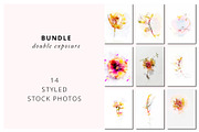 Double exposure stock photo bundle, a Nature Photo by Bloomstock studio (Thumbnail 1 of 4)